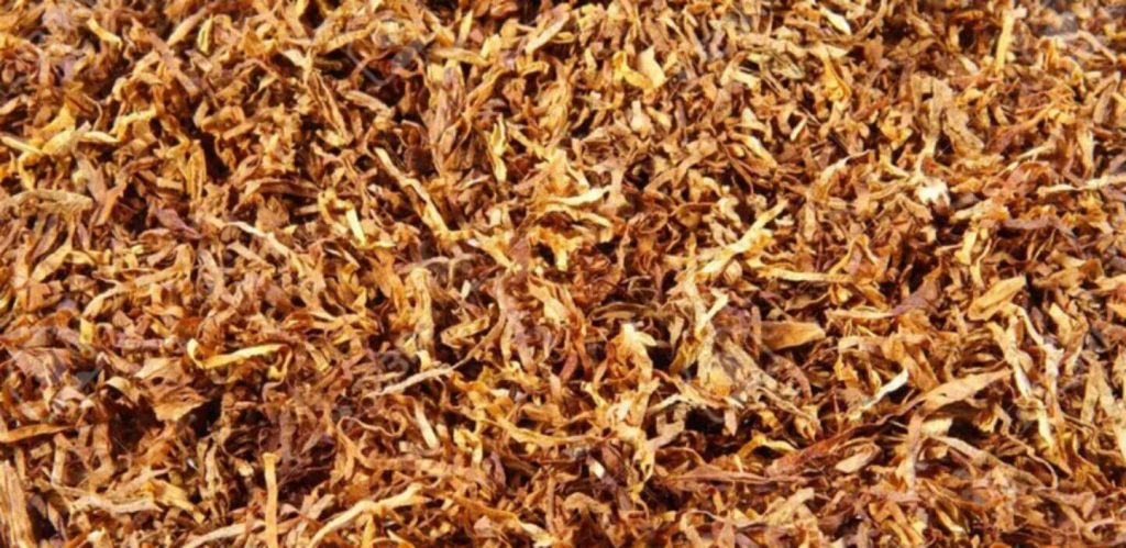 A well-aged batch of shredded tobacco